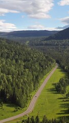 Wall Mural - Vertical aerial video of Altai Road Chuya Highway near Seminsky mountain pass.