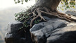 © Vilayat - Strong grip of roots wrapping around jagged rock, timeless strength, 8k, hyper realistic, real life based