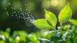 © Sinechana - 63.A close-up view of a plant leaf releasing tiny oxygen bubbles into the air, surrounded by a dense green forest. The image symbolizes the plant's role in purifying the air, representing good health