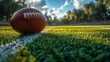 © shirophoto - realistic football stadium, low angle view, american football locate in front on field with blur stadium in background