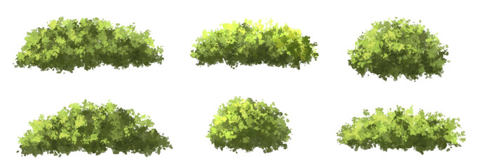 set of grass, vector of green tree side view isolated on white background ,watercolor tree elevation