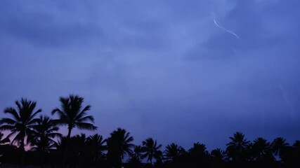 Poster - As dusk settles, silhouetted palm trees create a striking outline against the colorful twilight sky, signaling the calmness of evening along the coast.