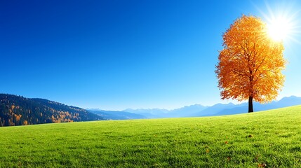 Wall Mural - Vibrant Autumn Tree Standing Alone on a Lush Green Field with Clear Blue Sky and Sun Shining Over Majestic Mountains in the Background