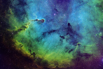 Wall Mural - IC1396 Misty Clover