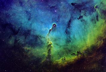 Wall Mural - IC1396 Misty Clover