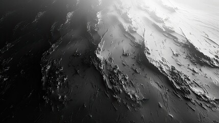 Wall Mural - The monochrome gradient background transitions from black to white, perfect for a minimalist and modern aesthetic.