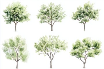 set of watercolor green trees isolated on a white background, ideal for landscape and architectural 