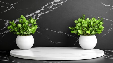 Aufkleber - Decorative green plants on white marble table against dark marble wall modern interior design