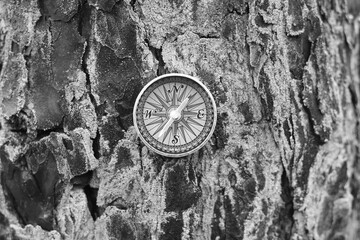 Wall Mural - classic navigation compass on natural background