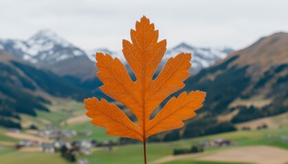 Single orange autumn leaf against blurred mountain backdrop.