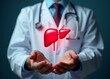 © fotoluigi868 - doctor in uniform hands holding liver organ virtual icon, hepatitis vaccination, liver cancer treatment. Health checkup concept.