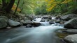 © Goutam - serene forest stream with crystal-clear water flowing between mossy rocks, a peaceful representation of untouched nature and tranquility