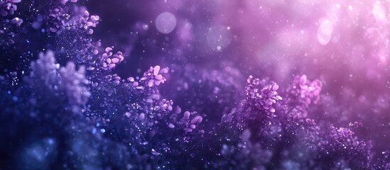 Wall Mural - vibrant abstract bokeh backdrop with purple and pink hues creating a dreamy and artistic atmosphere 