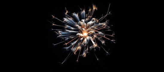 Leinwandbilder - Vibrant close-up of festive fireworks against a dark background creating a stunning abstract holiday display for celebrations and events