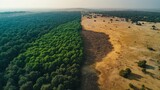 Transitioning Landscape from Lush Green Forest to Dry Desert Ecosystem