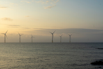 Wall Mural - There are many offshore wind turbines on windy Jeju Island.