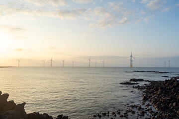 Wall Mural - There are many offshore wind turbines on windy Jeju Island.