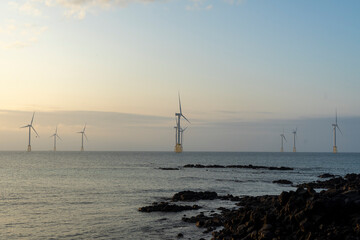 Wall Mural - There are many offshore wind turbines on windy Jeju Island.