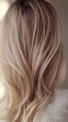 © Broccolini - hair of a woman, blonde woman from behind, hair model, hair texture