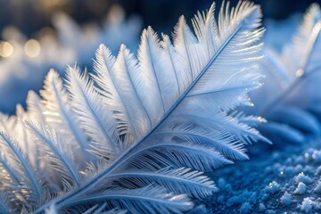 Wall Mural - soft white feathers with intricate ice-like texture