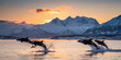 © Feel Surreal - Majestic Orca jumping out of the water in arctic, created by Generative AI
