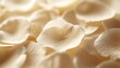 Captivating macro photograph showcasing the delicate contrast between sharply focused flower petals and a softly blurred atmospheric background creating a serene and elegant botanical study