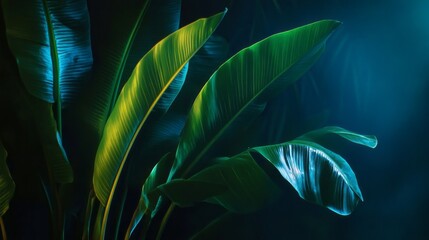 Wall Mural - A close up of a leafy green plant with a blue background