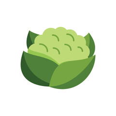 Canvas Print - Simple flat vector illustration of a green cauliflower head showing green leaves isolated on white