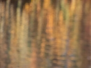 Wall Mural - Golden and gray green purposely blurred view. Blurry soft colored background in beautiful warm tones