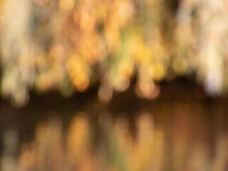 Wall Mural - Golden and gray green purposely blurred view. Blurry soft colored background in beautiful warm tones