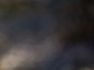Wall Mural - Bokeh and purposely blurred background with photographic bokeh effect in dadrk tones