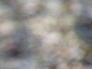 Wall Mural - Bokeh effect and purposely blurred view of sunlight. Blurry background with photographic bokeh effect in nature tones