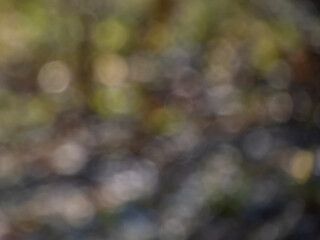 Wall Mural - Bokeh effect and purposely blurred view of sunlight. Blurry background with photographic bokeh effect in nature tones