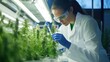 © Anisah - Cannabis Research: Scientist Analyzing Marijuana Plants in a Modern Laboratory