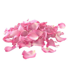 Wall Mural - pink rose petals scattered