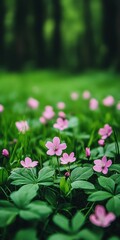 Canvas Print - Pink flowers blooming in a lush green meadow during springtime