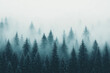 © liamalexcolman - Foggy pine forest with dense mist creating a mystical and tranquil atmosphere