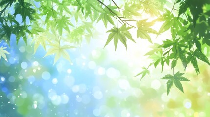 Wall Mural - Green Maple Leaves Against A Bright Sunny Sky
