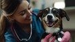 © The Little Hut - Vet Smiling with Happy Dog in Veterinary Clinic for Pet Care : Generative AI