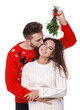 © New Africa - Happy man kissing his girlfriend under mistletoe bunch on white background