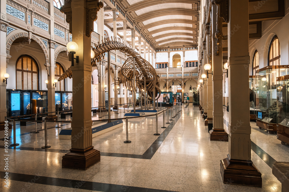 CHILEAN NATIONAL MUSEUM OF NATURAL HISTORY BY OWNER visual data 6