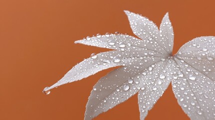 Poster - A close-up of a leaf with water droplets against an orange background.