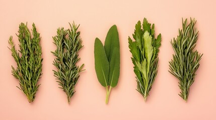 Fresh Herb Assortment: A vibrant display of five fresh herbs, rosemary, thyme, sage, arugula and rosemary, arranged in a symmetrical line on a soft pink background. The image is clean and minimalist.