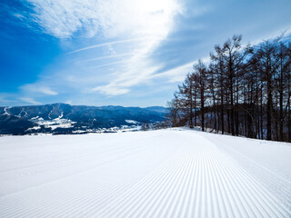 Wall Mural - Freshly groomed ski slope (Togari, Nagano, Japan)