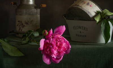 Wall Mural - Beautiful pink peony and old dishes close-up. Retro.