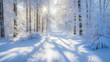 © MagicAI - Pristine white snow blanketing a winter forest, sunlight casting long shadows, creating a tranquil mood