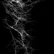 © Shamol - Intricate Web of Connections AI generated