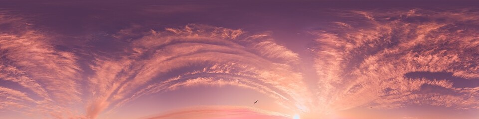 Wall Mural - sunset sky with bright glowing pink cirrus clouds. seamless spherical hdr 360 panorama. full zenith 