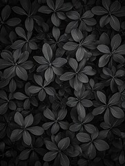 Wall Mural - Black and White Leaves