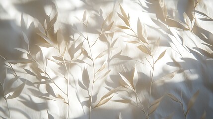 Canvas Print - White Branches Cast Shadows On Light Fabric